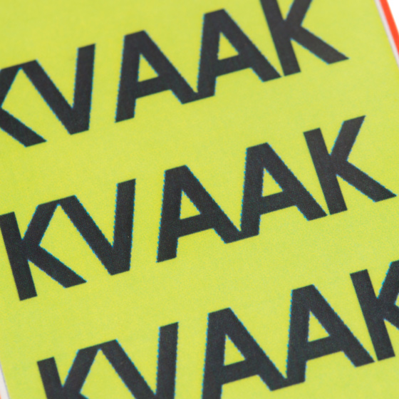 Viisi pientä ankkaa 3